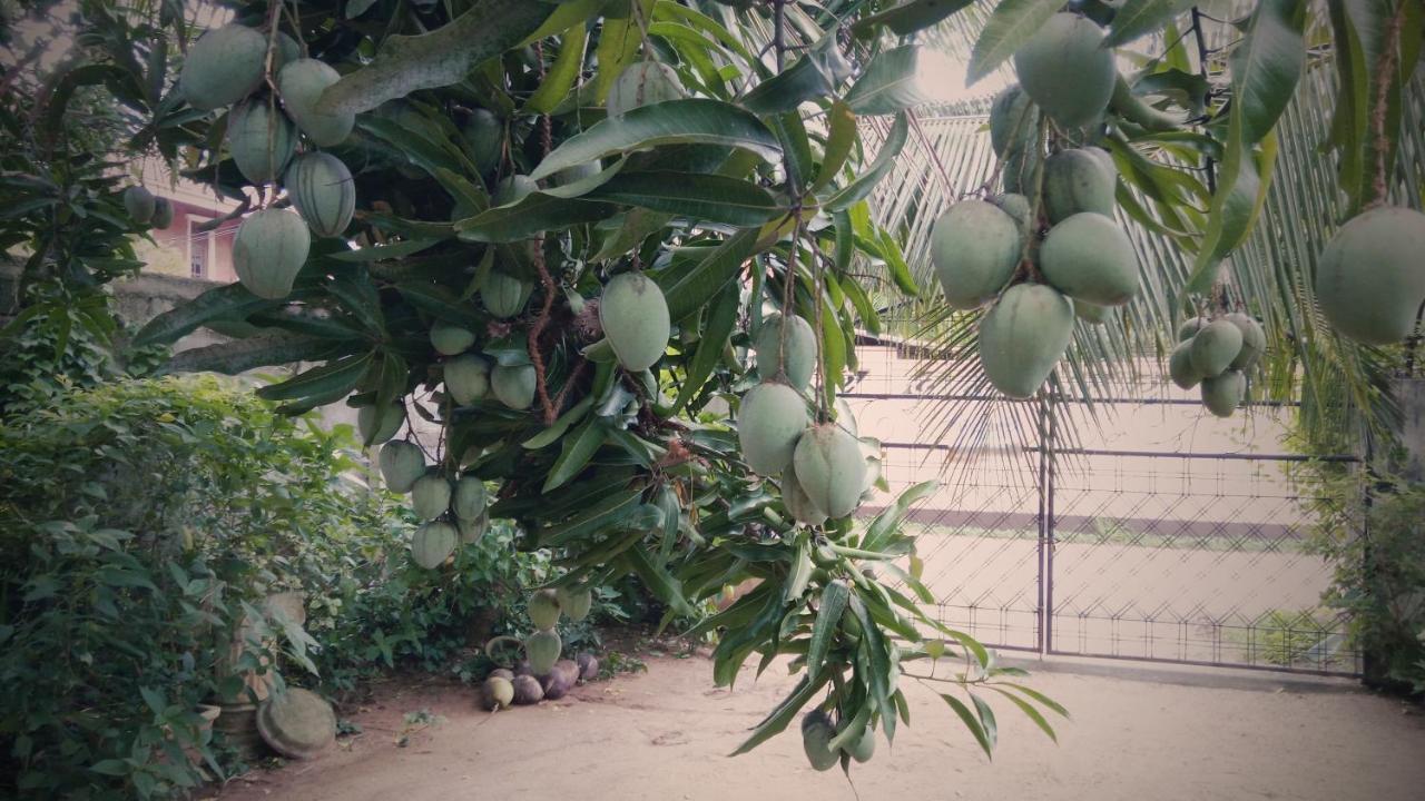 Sampathaa Residence 尼甘布 外观 照片
